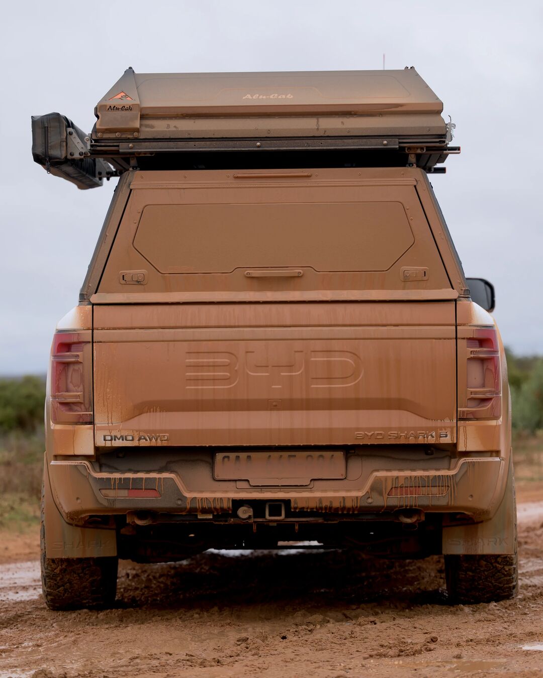  The Origin of the Alu-Cab Canopy